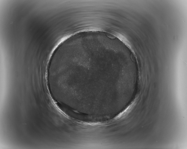 X0000086910797200704301036