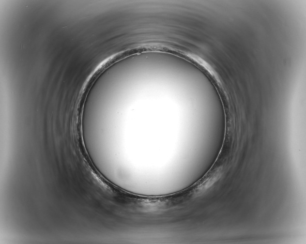 X0000086910799200704301036