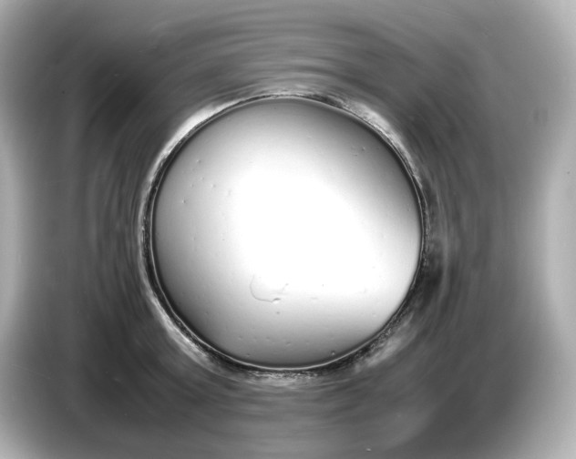 X0000086910803200704301036