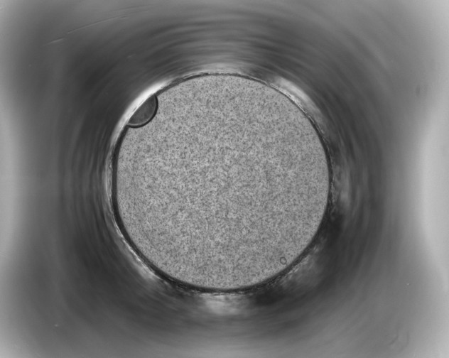 X0000086910804200704301036