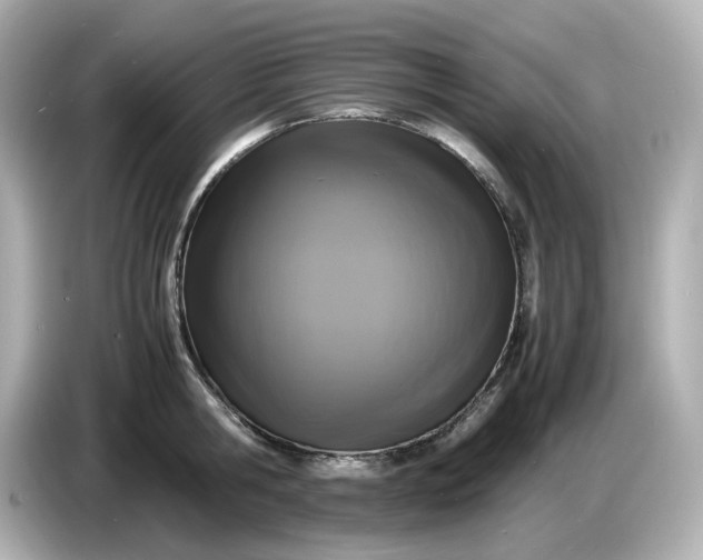 X0000086910806200704301036