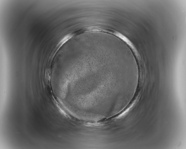 X0000086910809200704301036