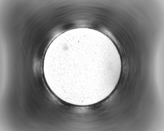 X0000086910810200704301036