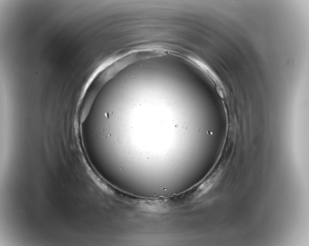 X0000086910813200704301036