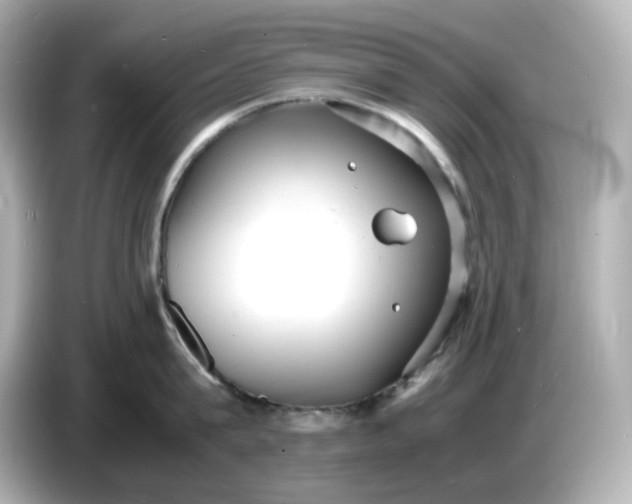 X0000086910815200704301036