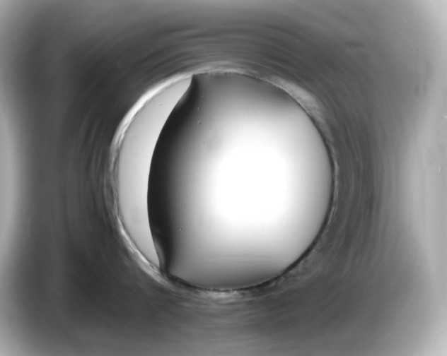 X0000086910816200704301036