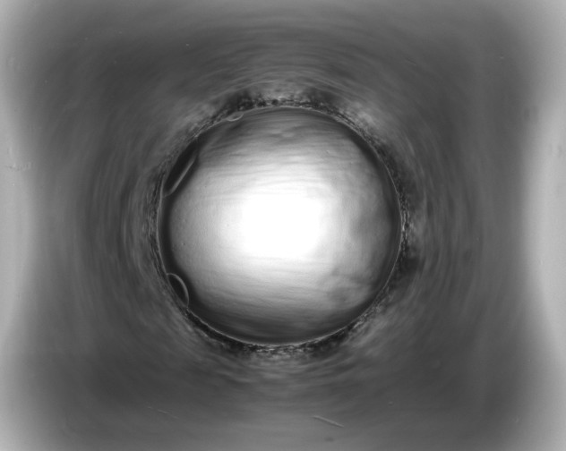 X0000086910817200704301035