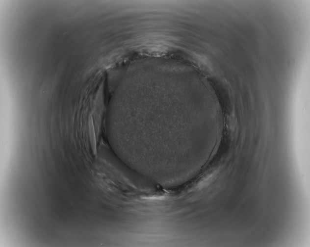 X0000086910818200704301035