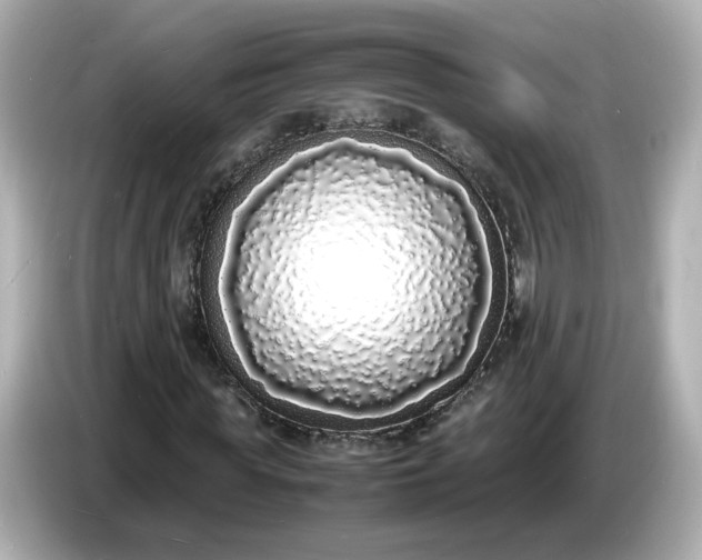 X0000086910819200704301035