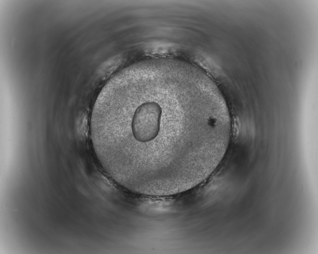 X0000086910820200704301035