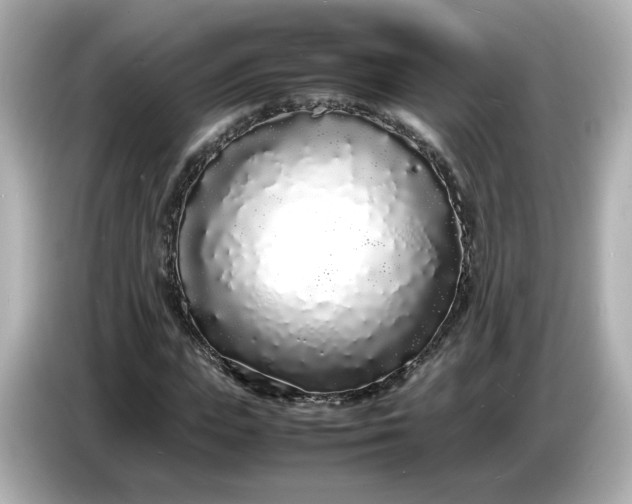 X0000086910823200704301035