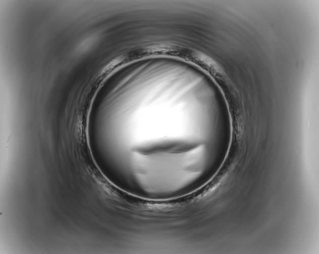 X0000086910825200704301035