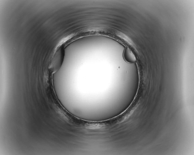 X0000086910826200704301035