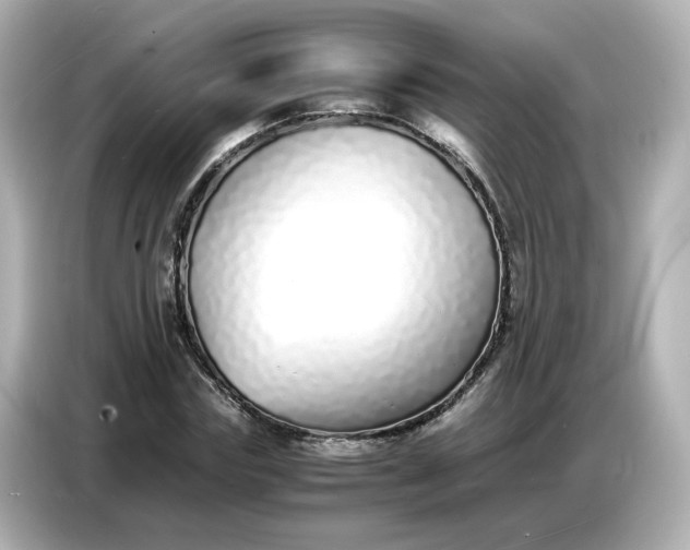 X0000086910827200704301035