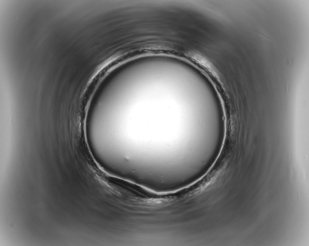 X0000086910829200704301035