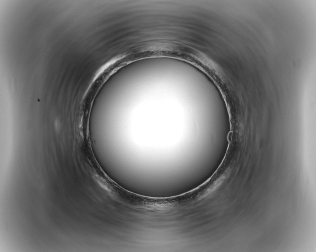 X0000086910830200704301035