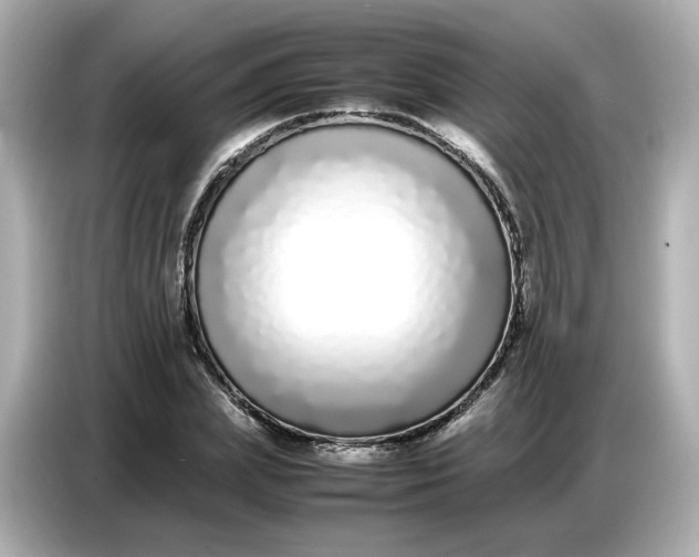 X0000086910831200704301035