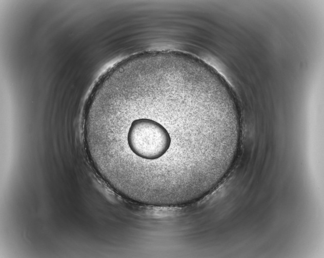 X0000086910832200704301035