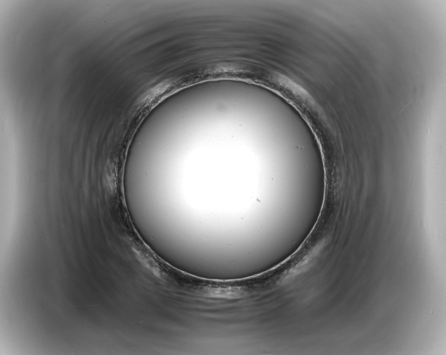 X0000086910833200704301035