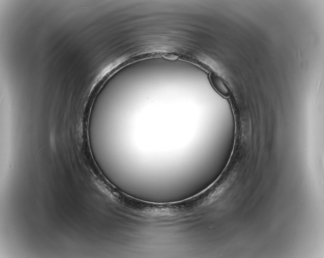 X0000086910834200704301035