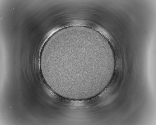 X0000086910836200704301035