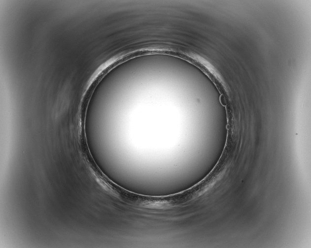 X0000086910837200704301035