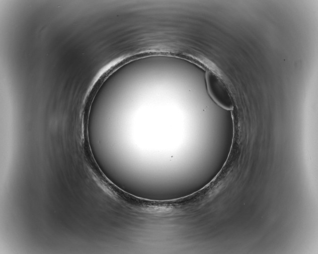 X0000086910838200704301035