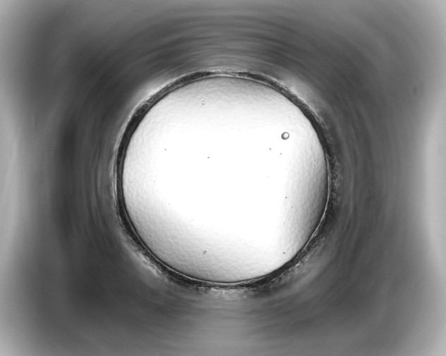 X0000086910840200704301035