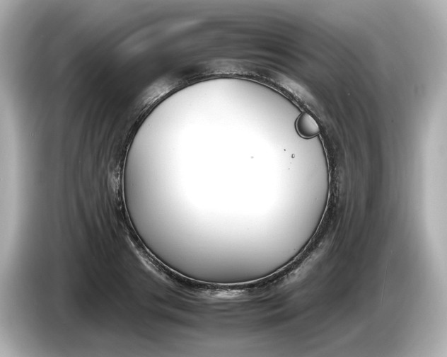 X0000086910841200704301035