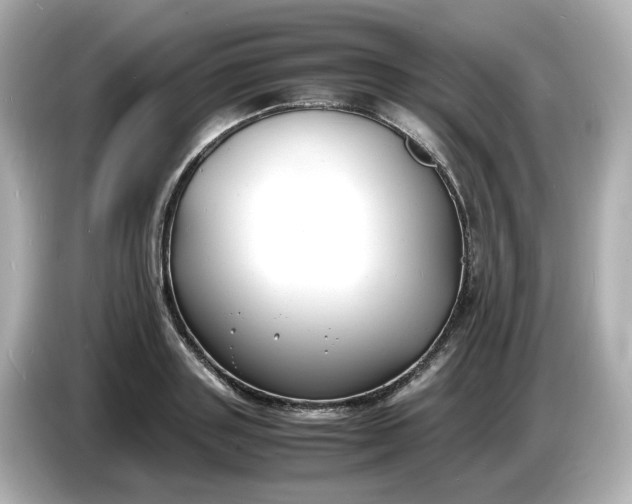 X0000086910843200704301035