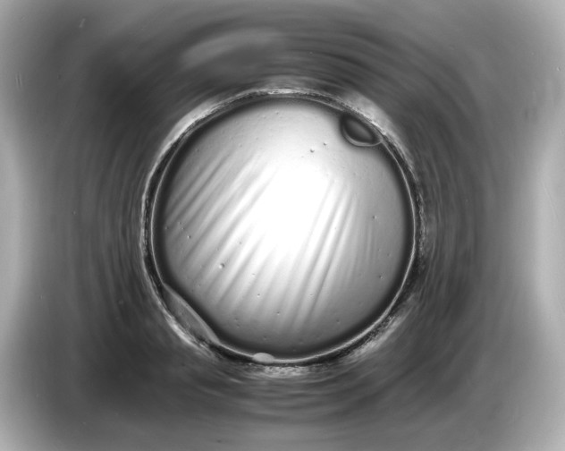 X0000086910845200704301035