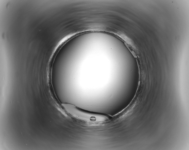 X0000086910846200704301035