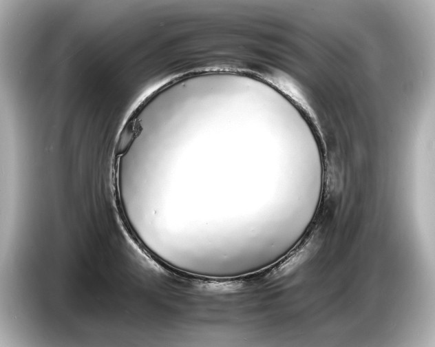 X0000086910847200704301036