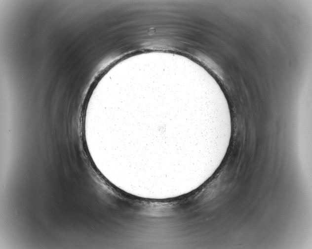 X0000086910848200704301036