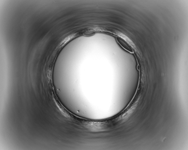 X0000086910849200704301036