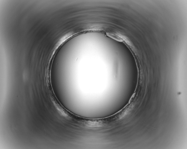 X0000086910850200704301036