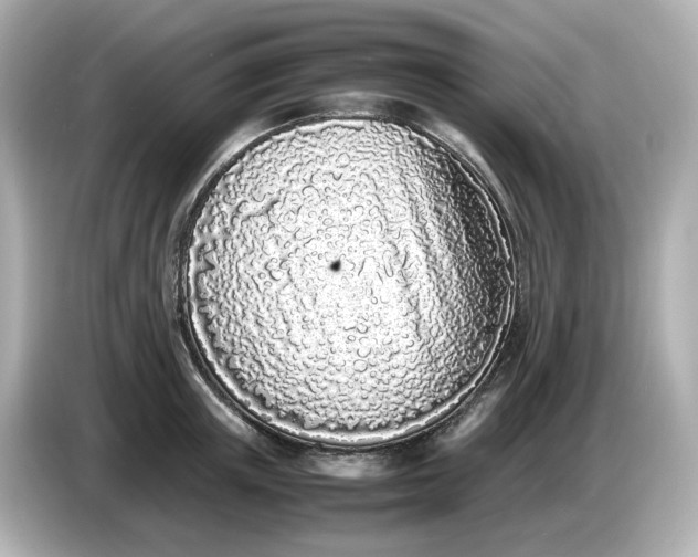 X0000086910851200704301036