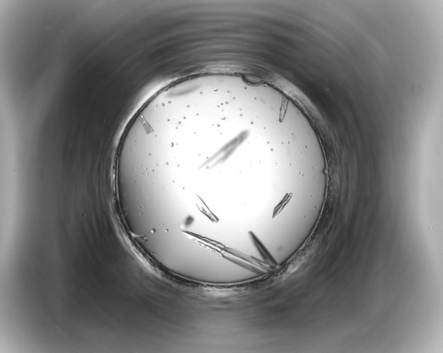 X0000086910852200704301036