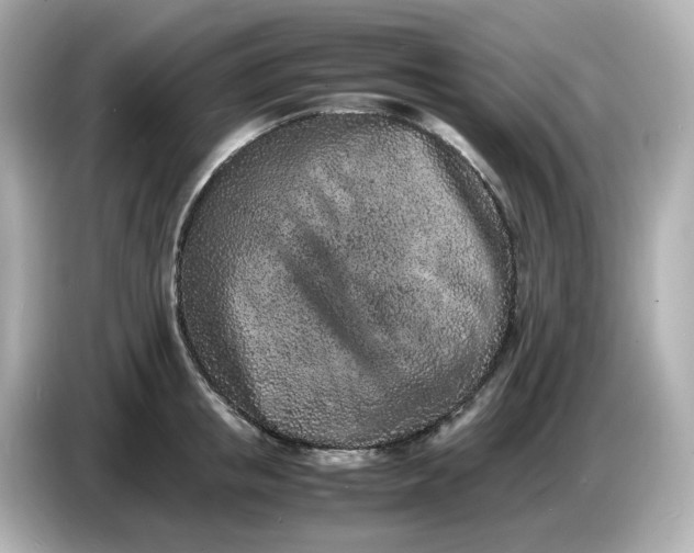 X0000086910853200704301036