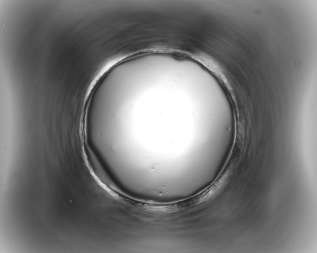 X0000086910855200704301036