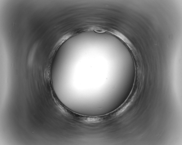 X0000086910857200704301036