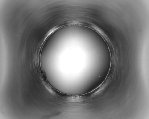 X0000086910858200704301036