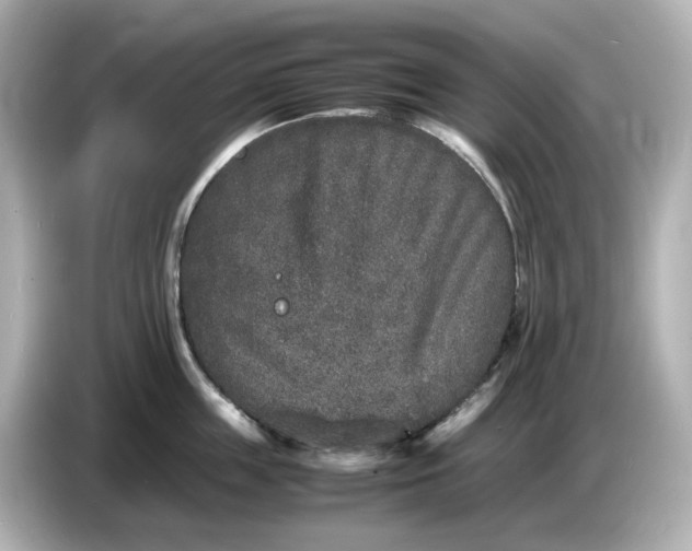 X0000086910859200704301036