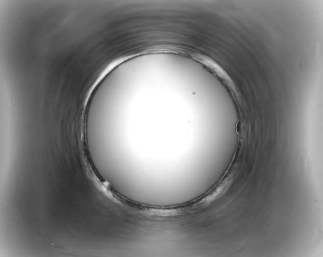 X0000086910860200704301036