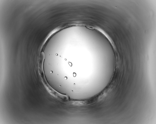 X0000086910861200704301036