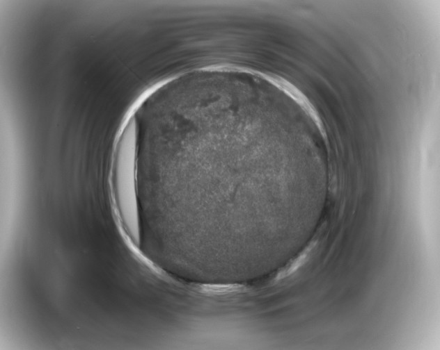 X0000086910863200704301036