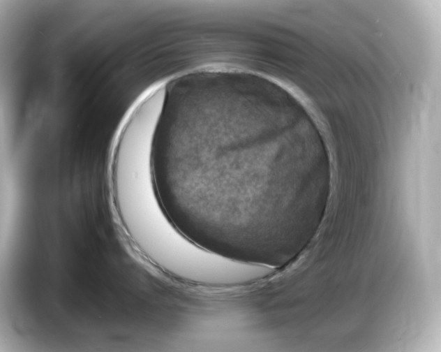 X0000086910864200704301036