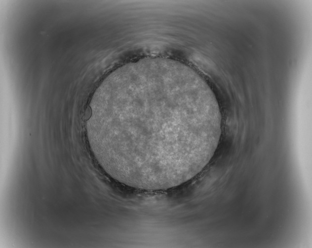 X0000086910865200704301035