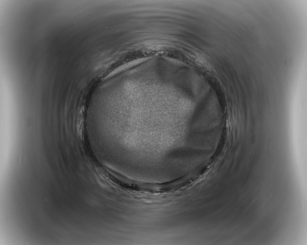 X0000086910868200704301035