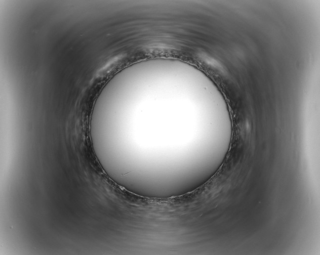 X0000086910870200704301035